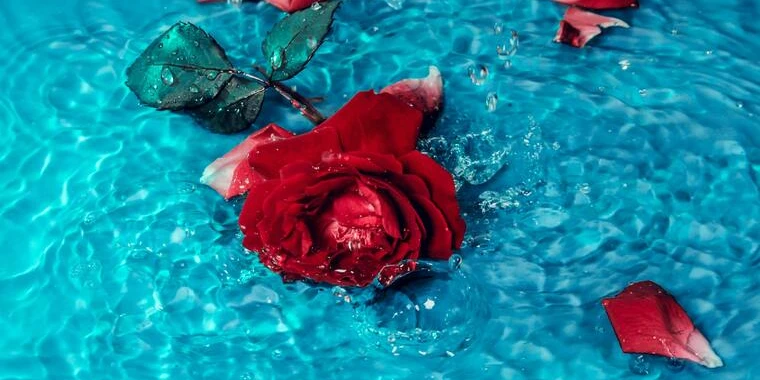 creator header picture