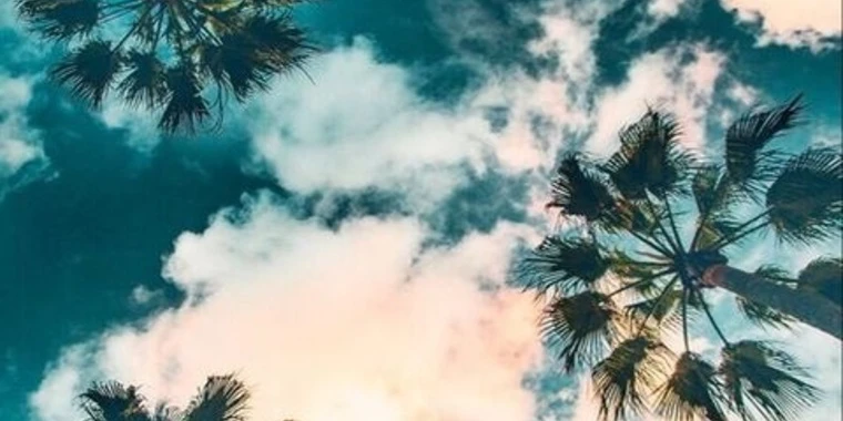 creator header picture