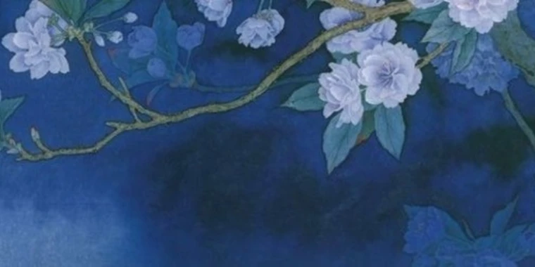 creator header picture