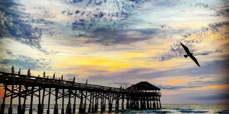 creator header picture