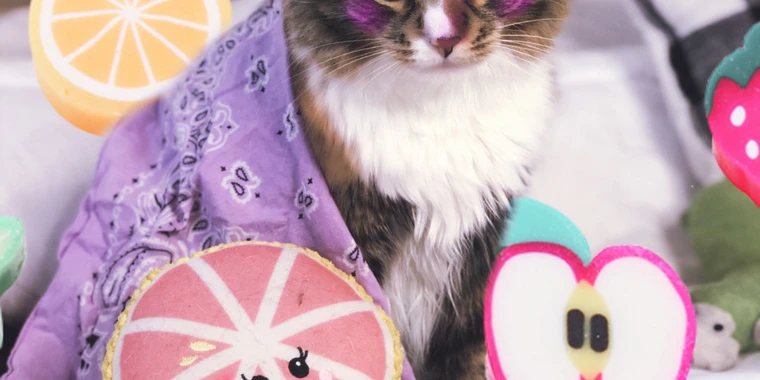 creator header picture