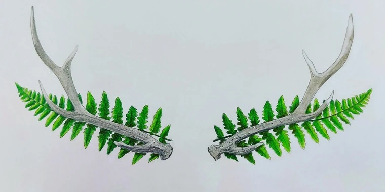 creator header picture
