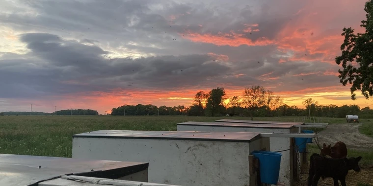creator header picture