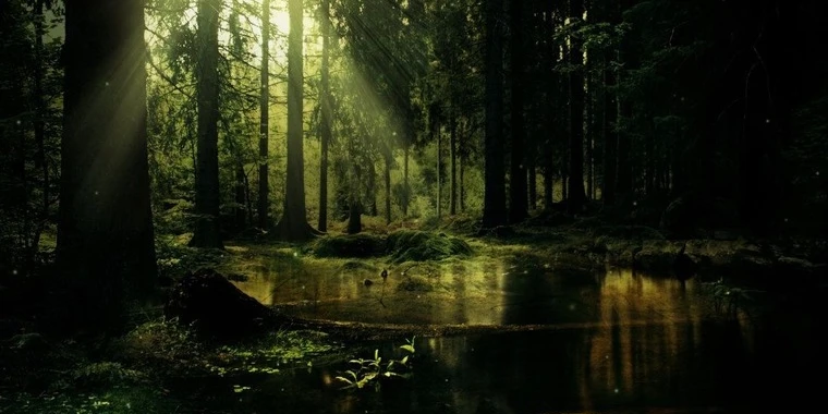 creator header picture
