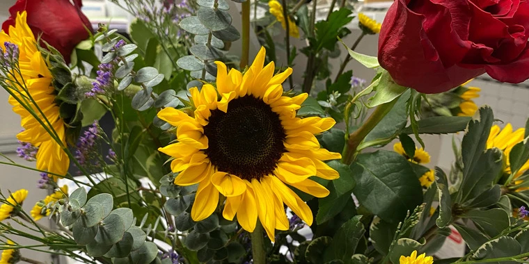 creator header picture