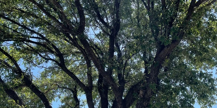 creator header picture