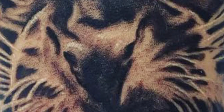 creator header picture
