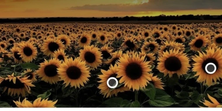 creator header picture