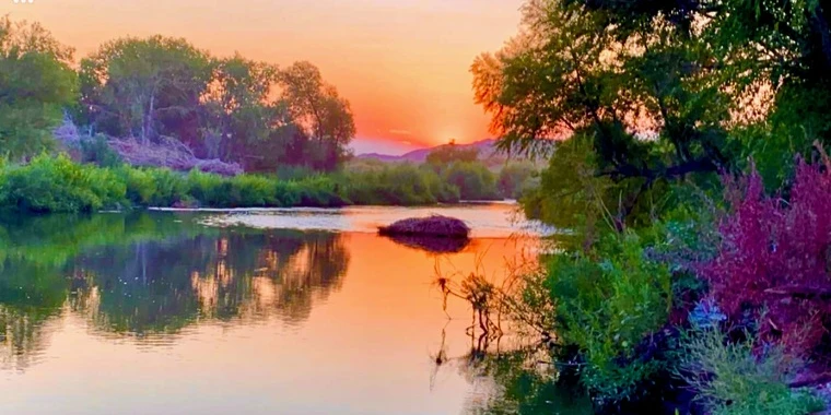creator header picture