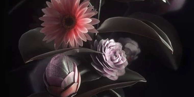 creator header picture