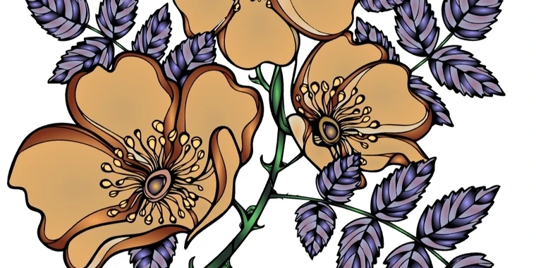 creator header picture