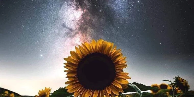 creator header picture