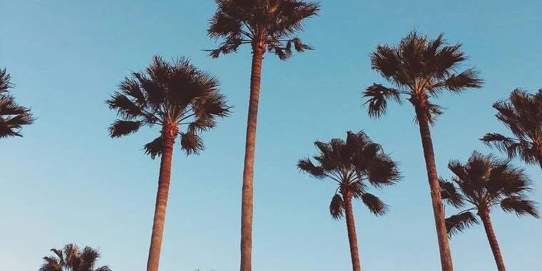 creator header picture