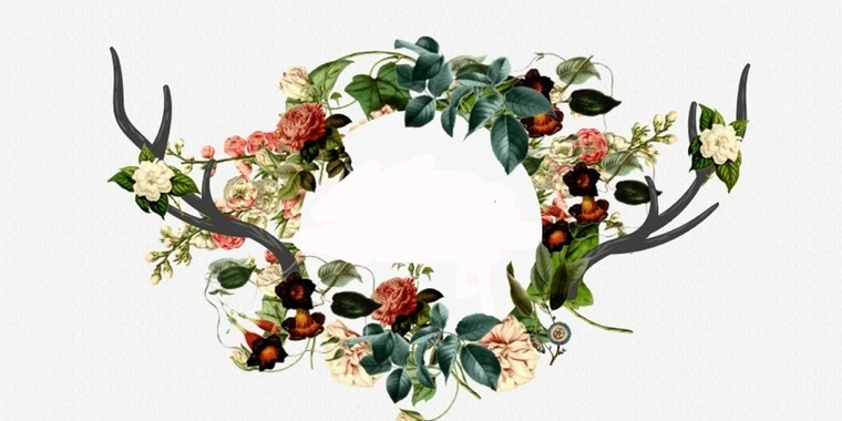 creator header picture