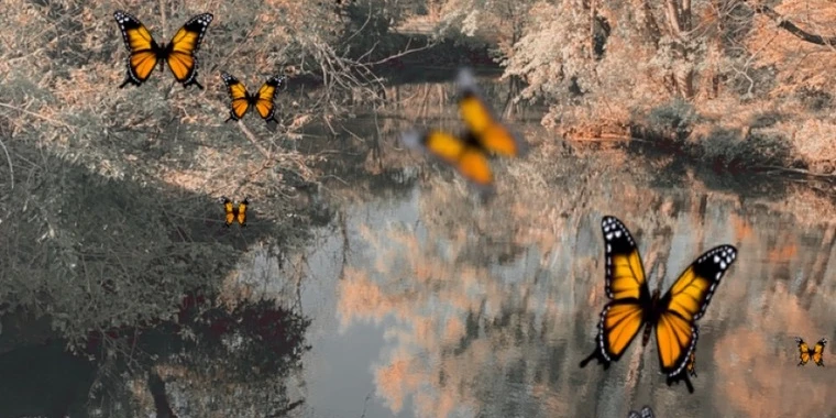 creator header picture