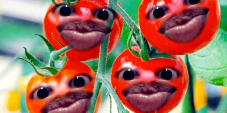 creator header picture