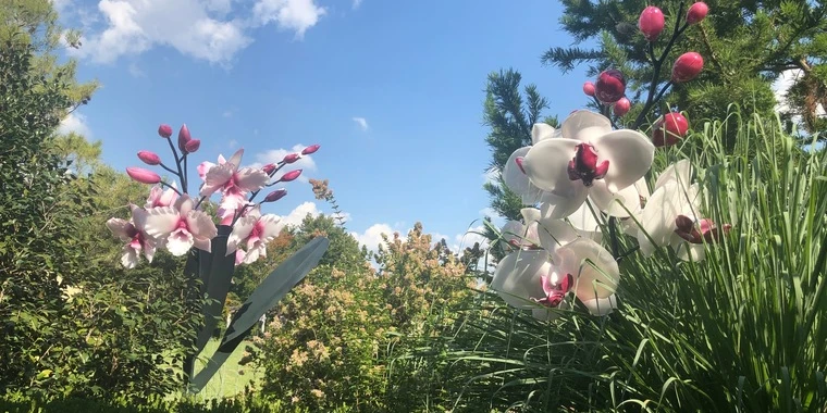 creator header picture