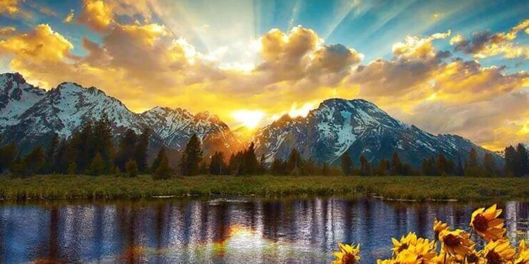 creator header picture