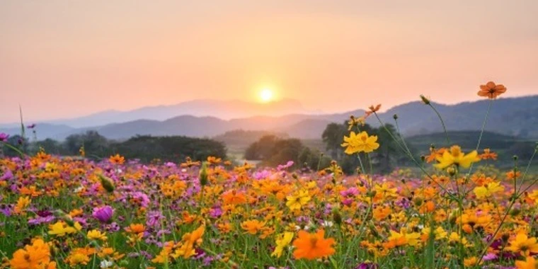 creator header picture