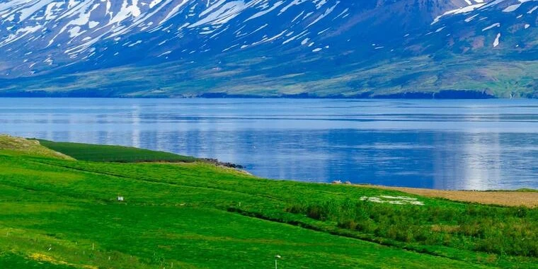 creator header picture