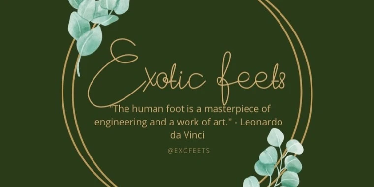 creator header picture