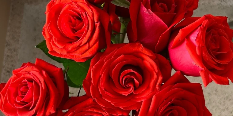creator header picture