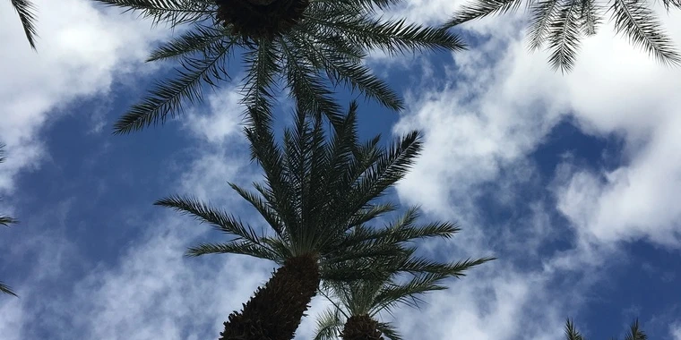 creator header picture