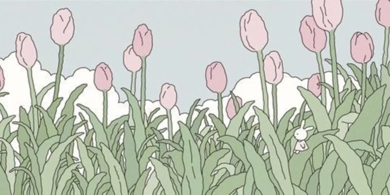 creator header picture
