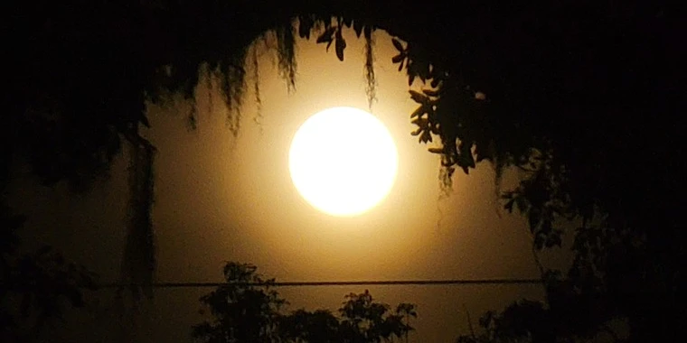 creator header picture