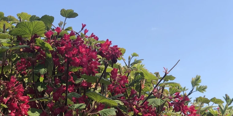 creator header picture