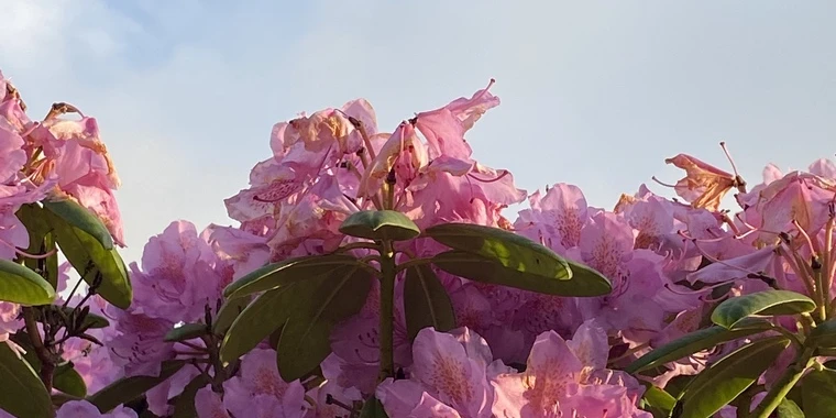 creator header picture