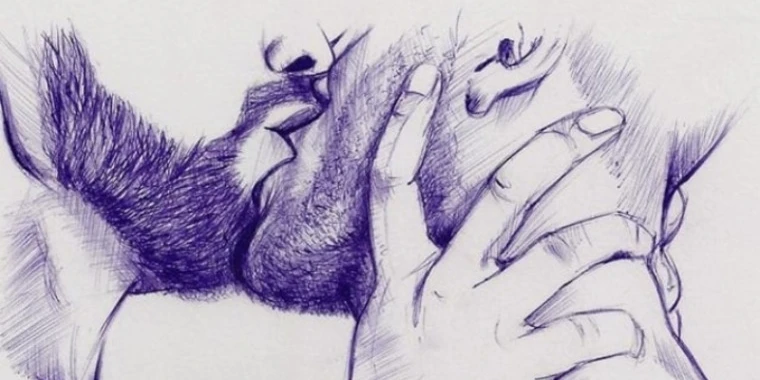 creator header picture