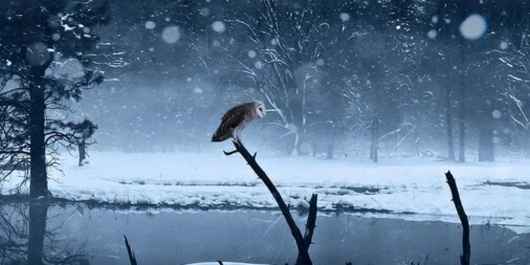 creator header picture