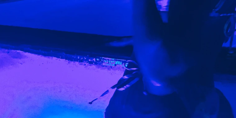creator header picture