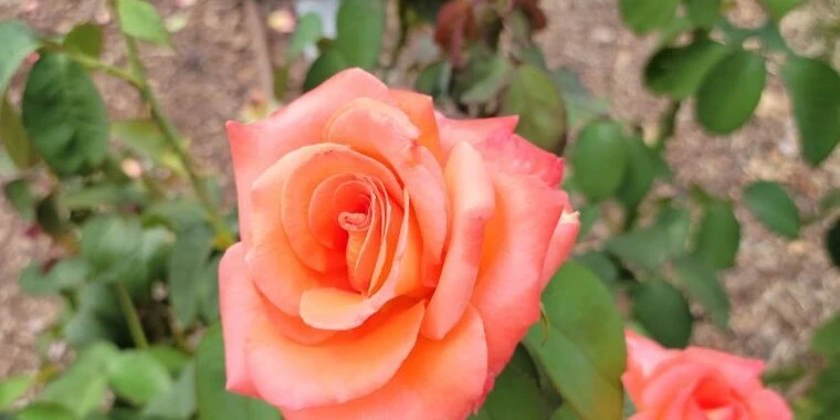 creator header picture