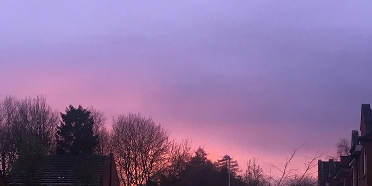 creator header picture