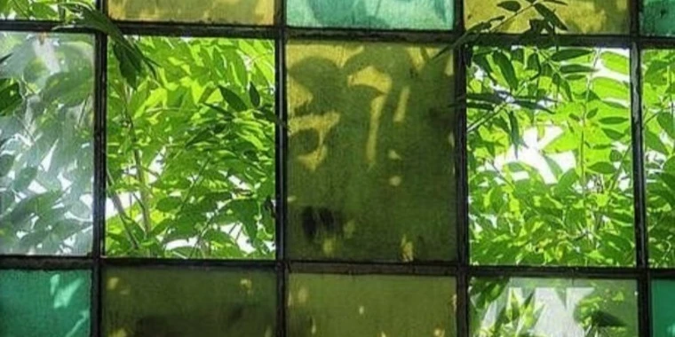 creator header picture