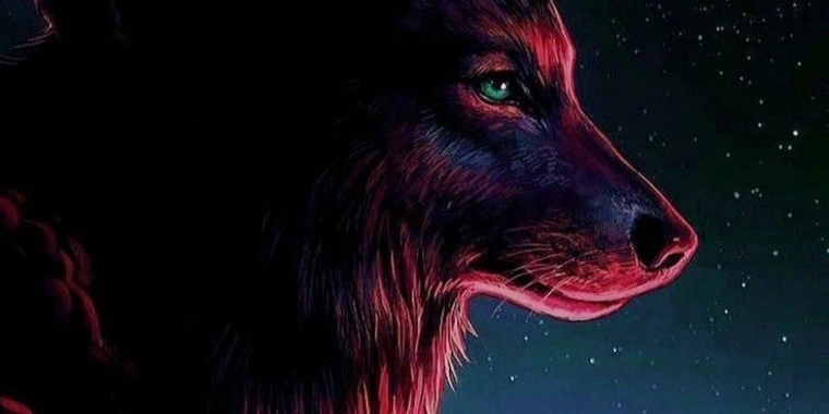 creator header picture