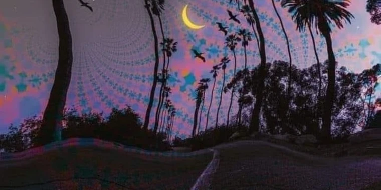 creator header picture