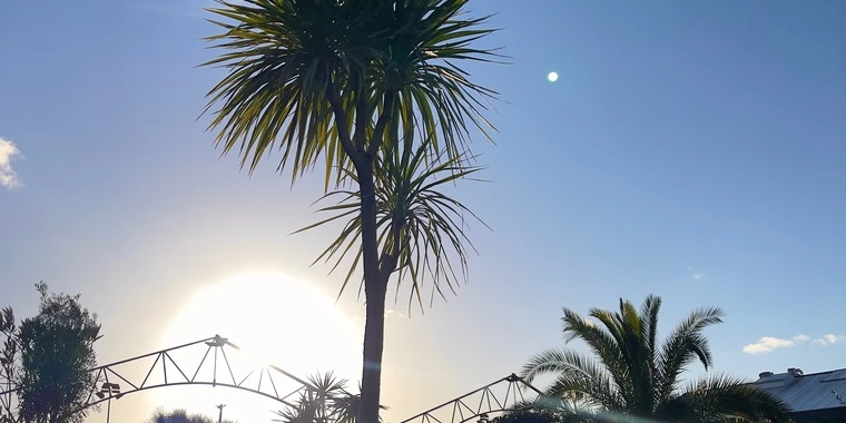 creator header picture
