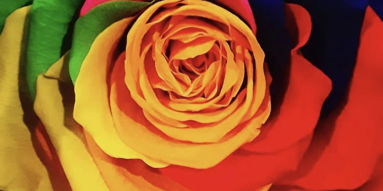 creator header picture