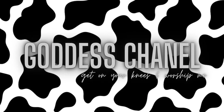 creator header picture