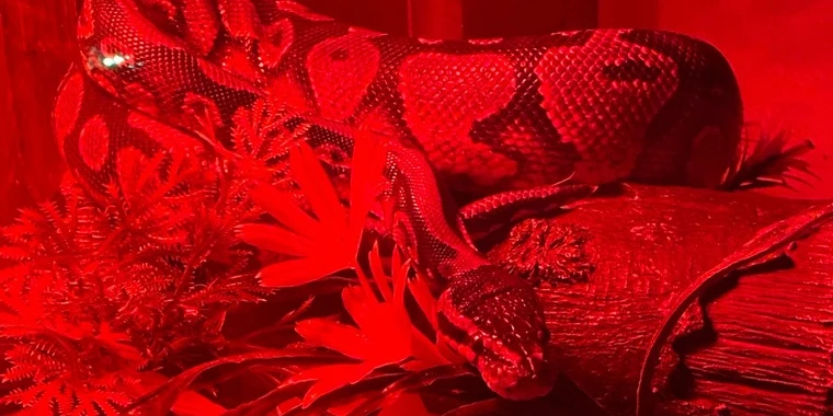 creator header picture