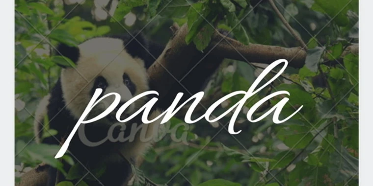 creator header picture