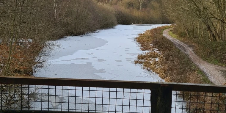 creator header picture