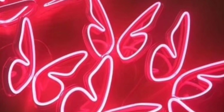 creator header picture