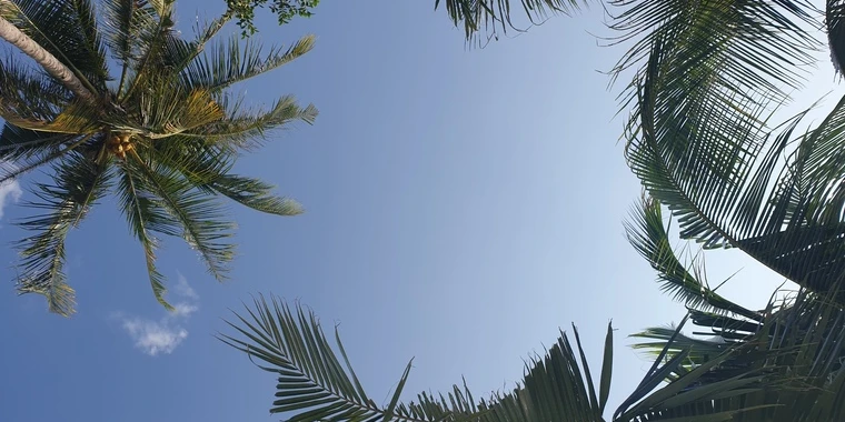 creator header picture