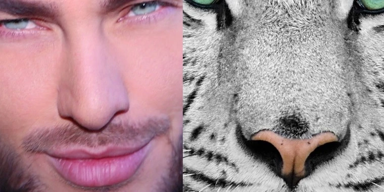 creator header picture