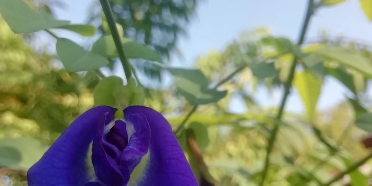 creator header picture