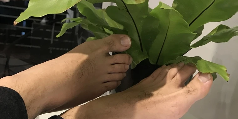 creator header picture